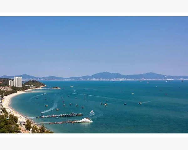 河南初级会计证书领取条件与流程详解